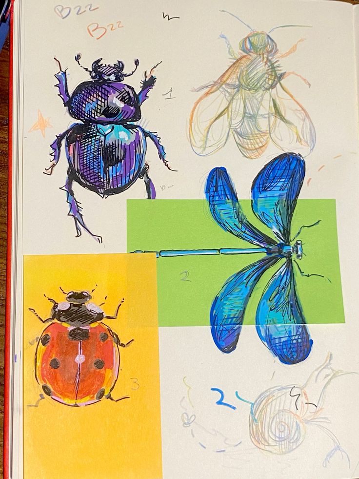 6c26d3baf6ad4fb7778100f95bae9086