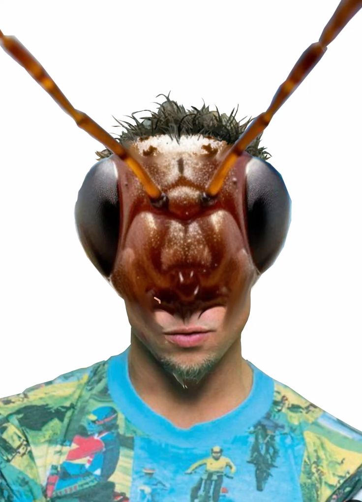 934d407afa9cc87717d01467eca7aa5f